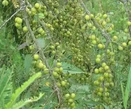 海南，热带风情与独特魅力的交汇胜地