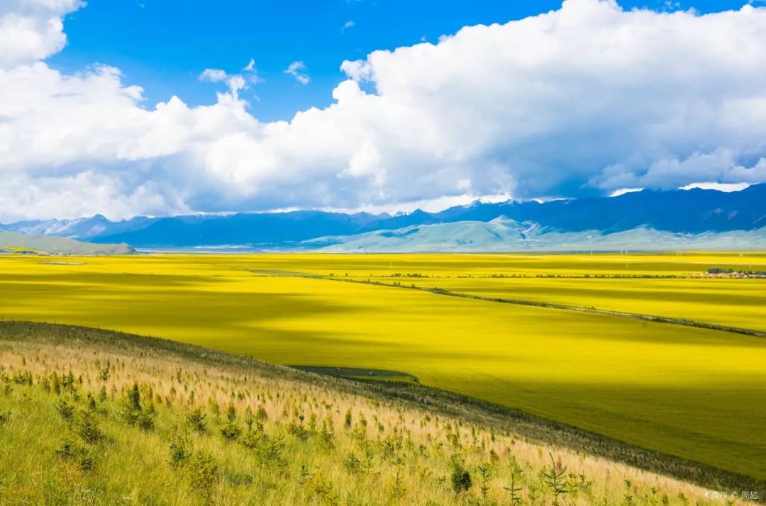 青海,大自然的调色板与生命乐章的交融之地